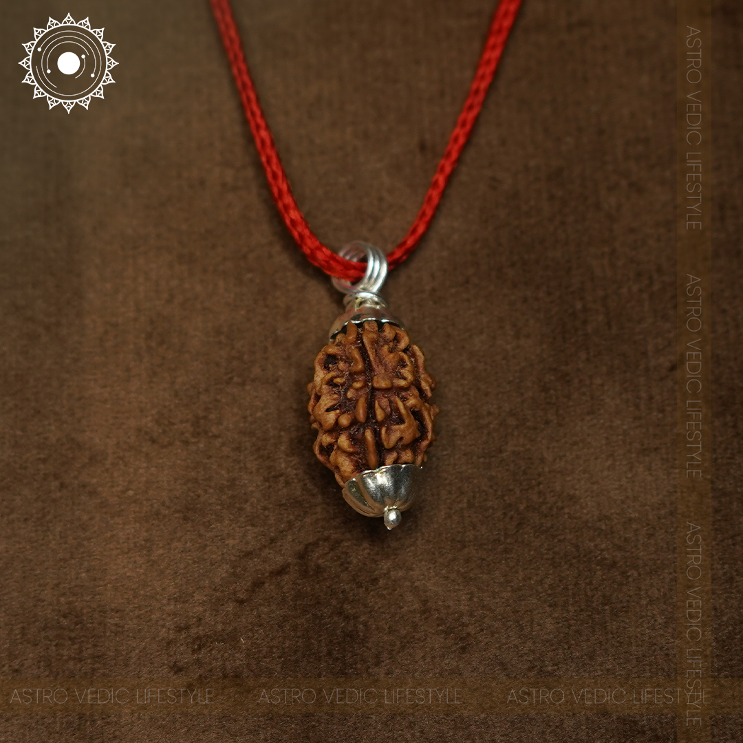 2 Mukhi Rudraksha
