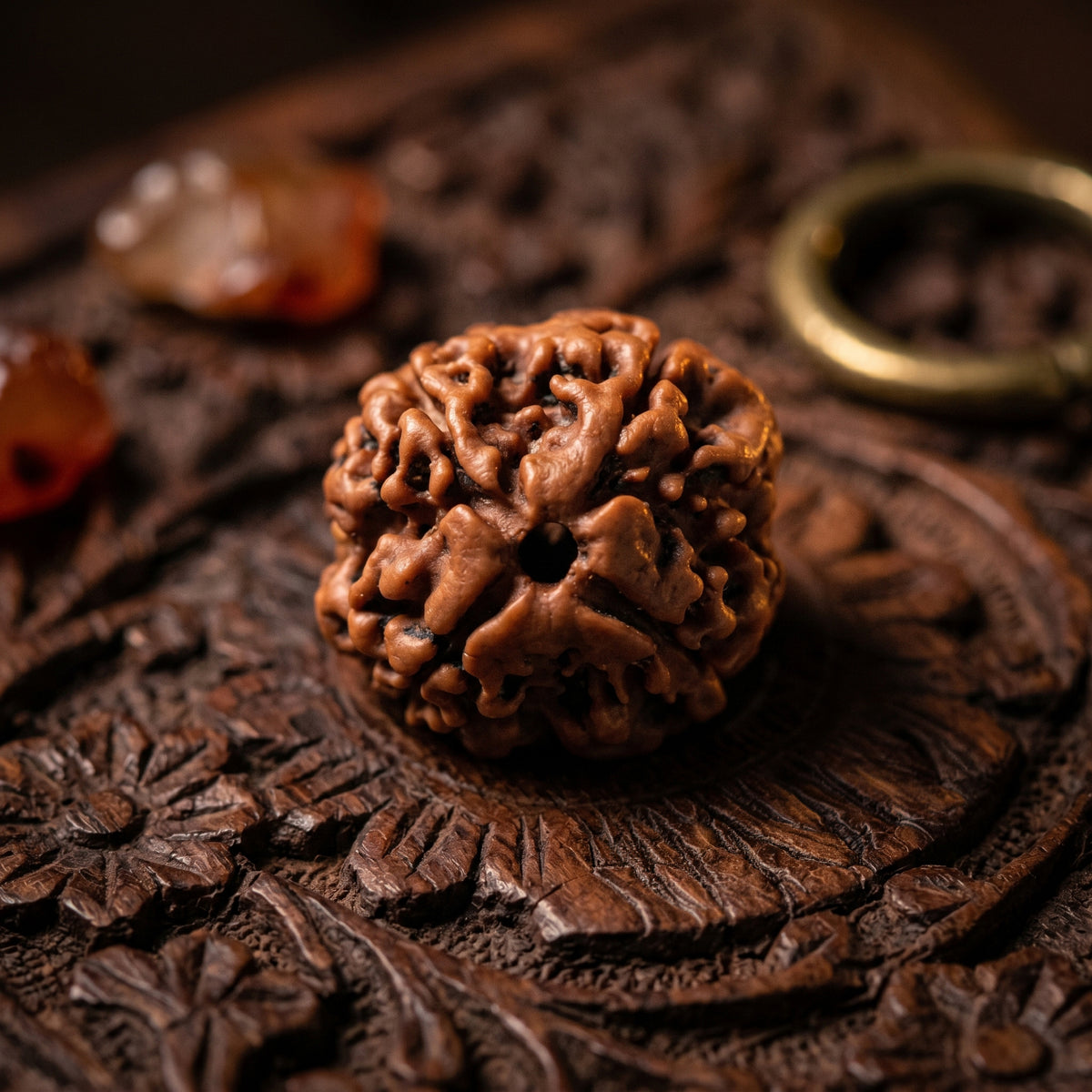4 Mukhi Rudraksha