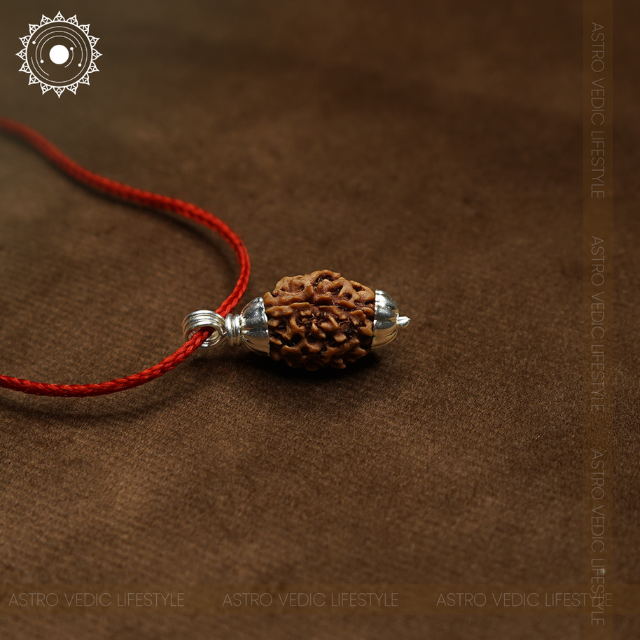 2 Mukhi Rudraksha