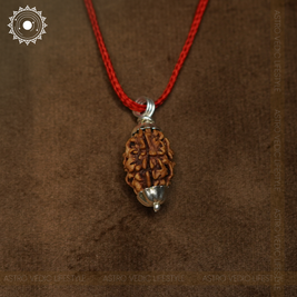3 Mukhi Rudraksha
