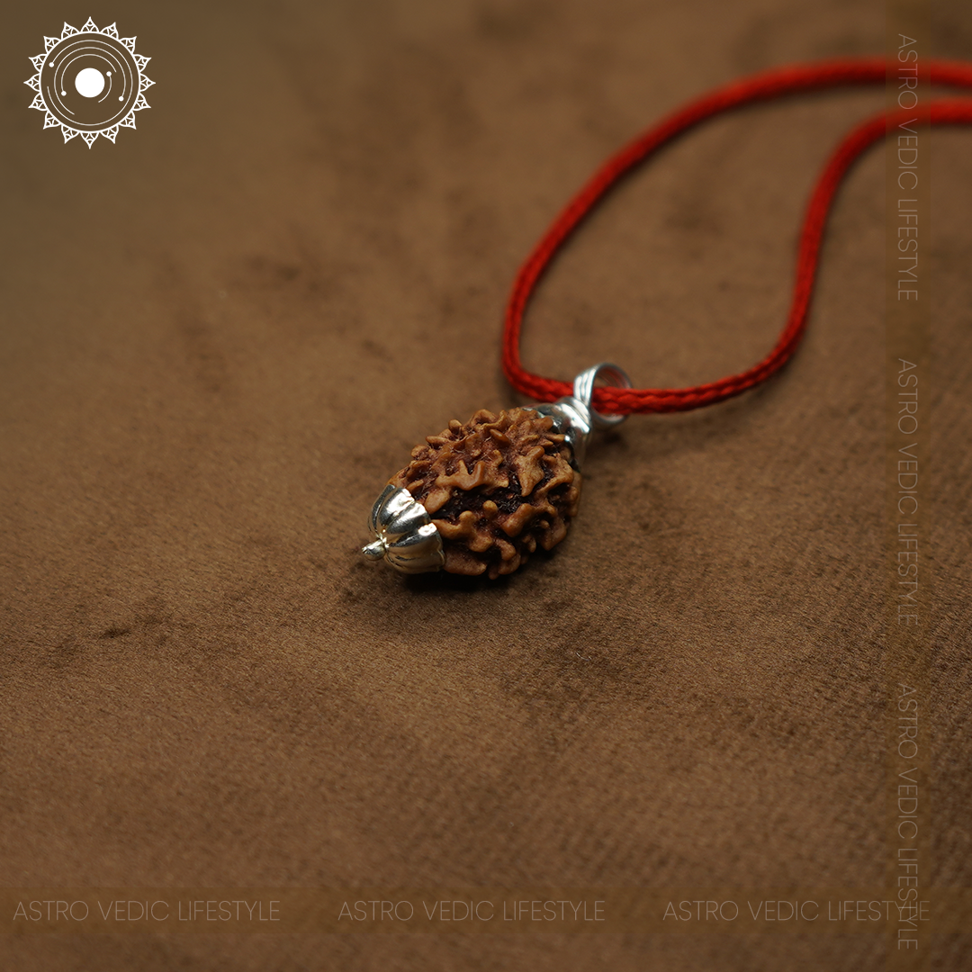 3 Mukhi Rudraksha