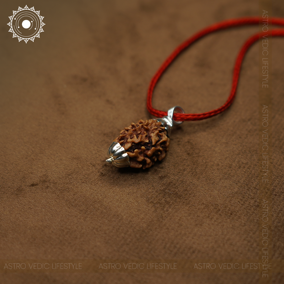 3 Mukhi Rudraksha