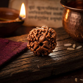 4 Mukhi Rudraksha