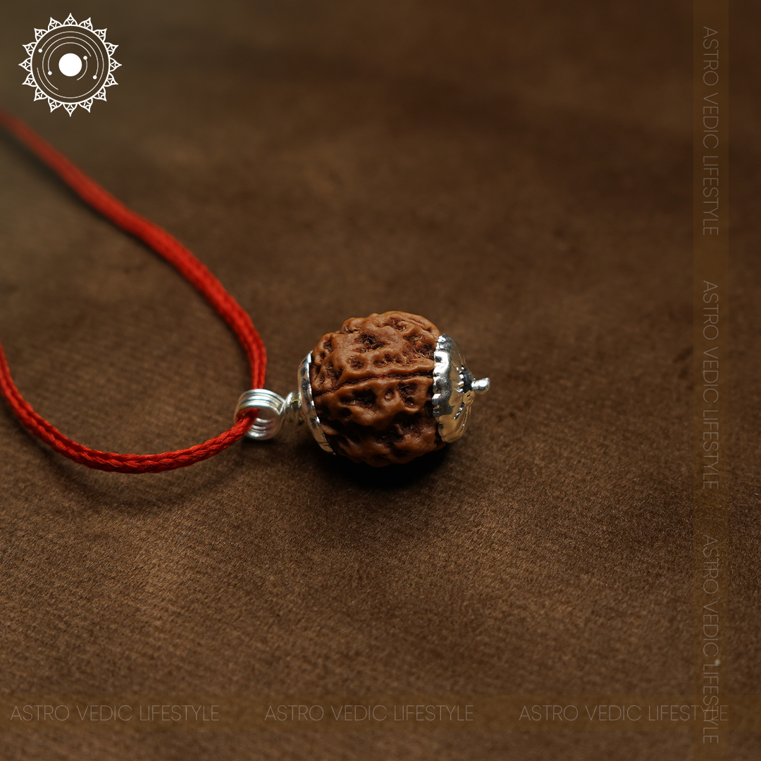 4 Mukhi Rudraksha