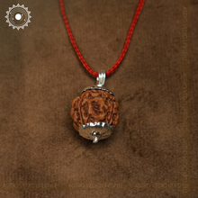4 Mukhi Rudraksha