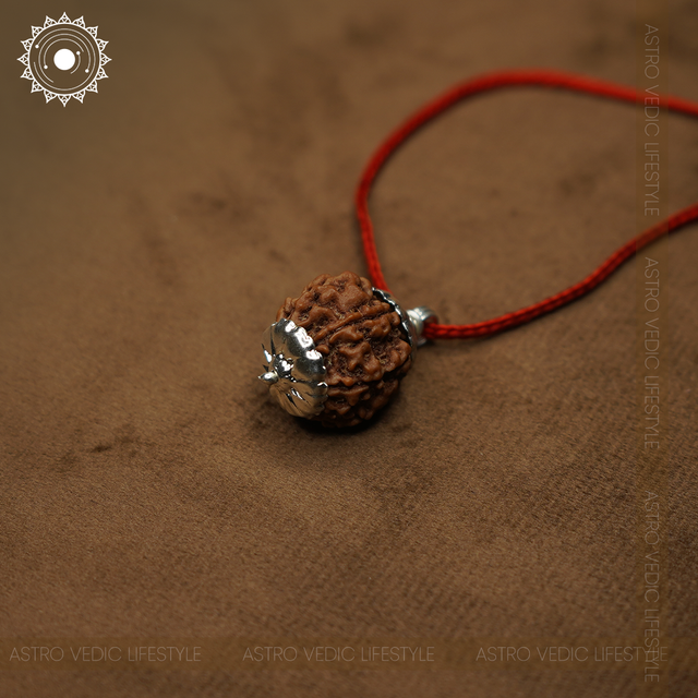 5 Mukhi Rudraksha