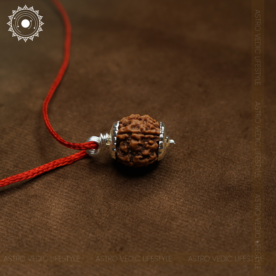 5 Mukhi Rudraksha