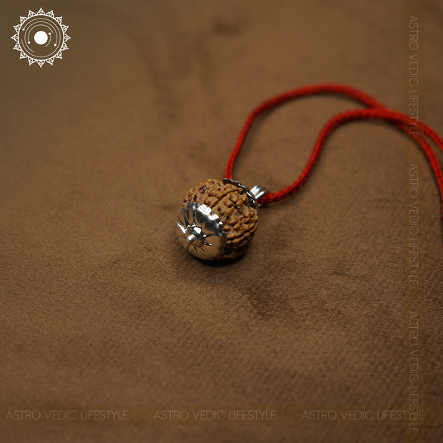 6 Mukhi Rudraksha