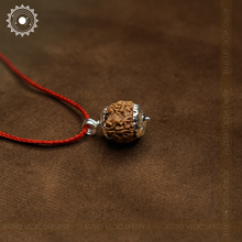 6 Mukhi Rudraksha