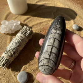 Kuber Stone Orthoceras Fossil