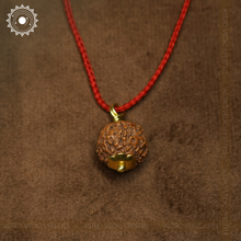 8 Mukhi Rudraksha