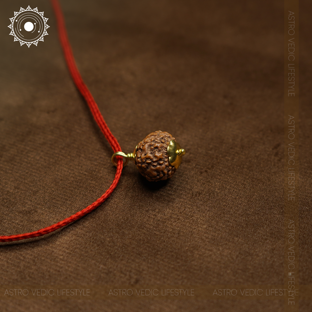 8 Mukhi Rudraksha