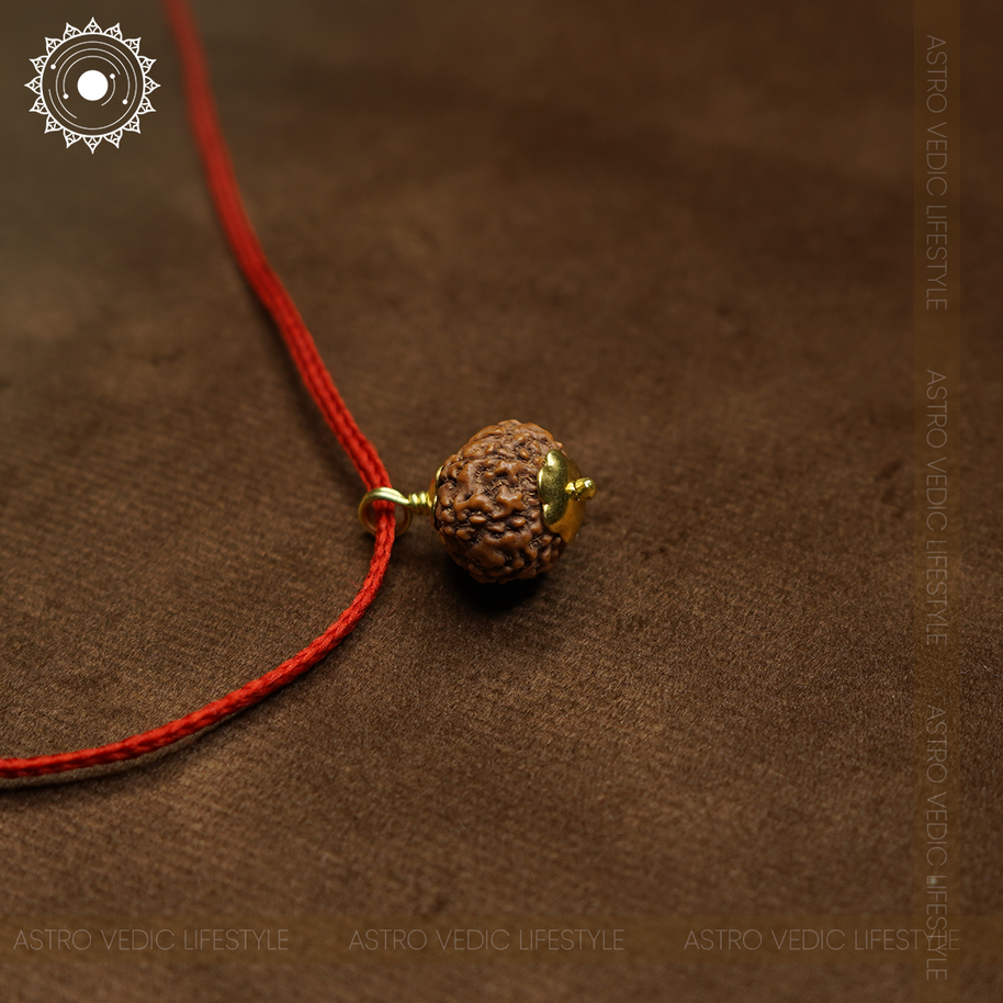 8 Mukhi Rudraksha