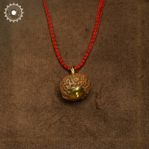 9 Mukhi Rudraksha
