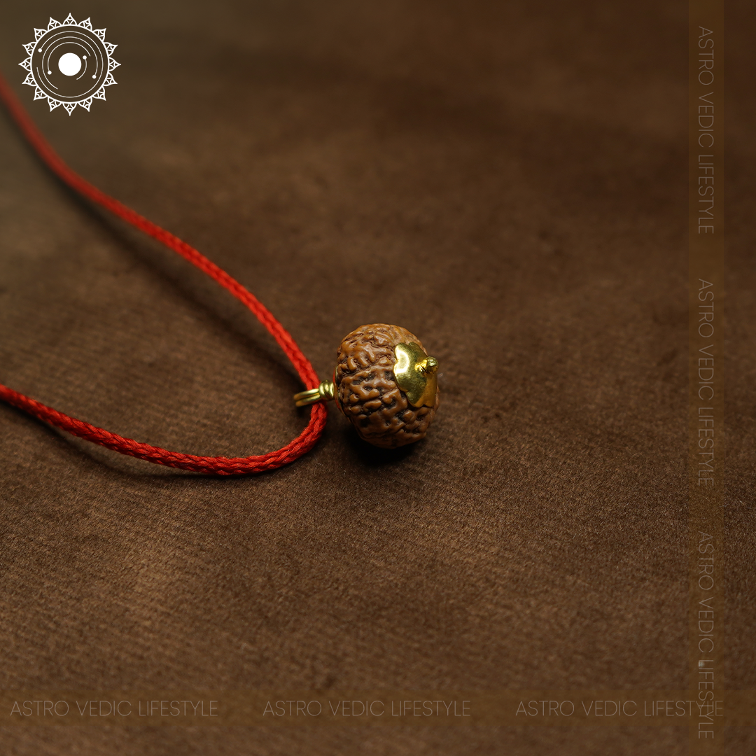 9 Mukhi Rudraksha