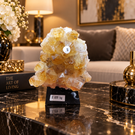 Natural Citrine Crystal Formation – Premium Abundance & Positive Energy Décor (7×9 cm, 655 gm)