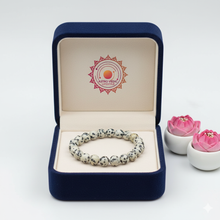 Dalmatian Jasper Bracelet