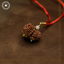 Gauri Shankar Rudraksha