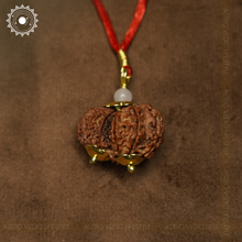 Gauri Shankar Rudraksha