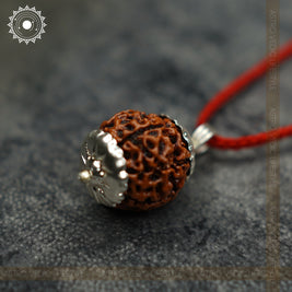 7 Mukhi Rudraksha