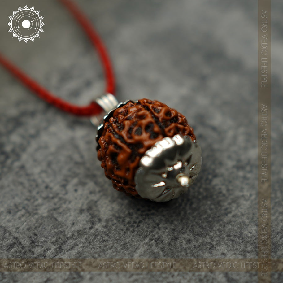 7 Mukhi Rudraksha