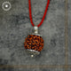 7 Mukhi Rudraksha
