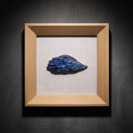 Natural Electroplated Black Tourmaline Crystal