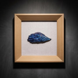Titanium Aura Kyanite Feather Crystal